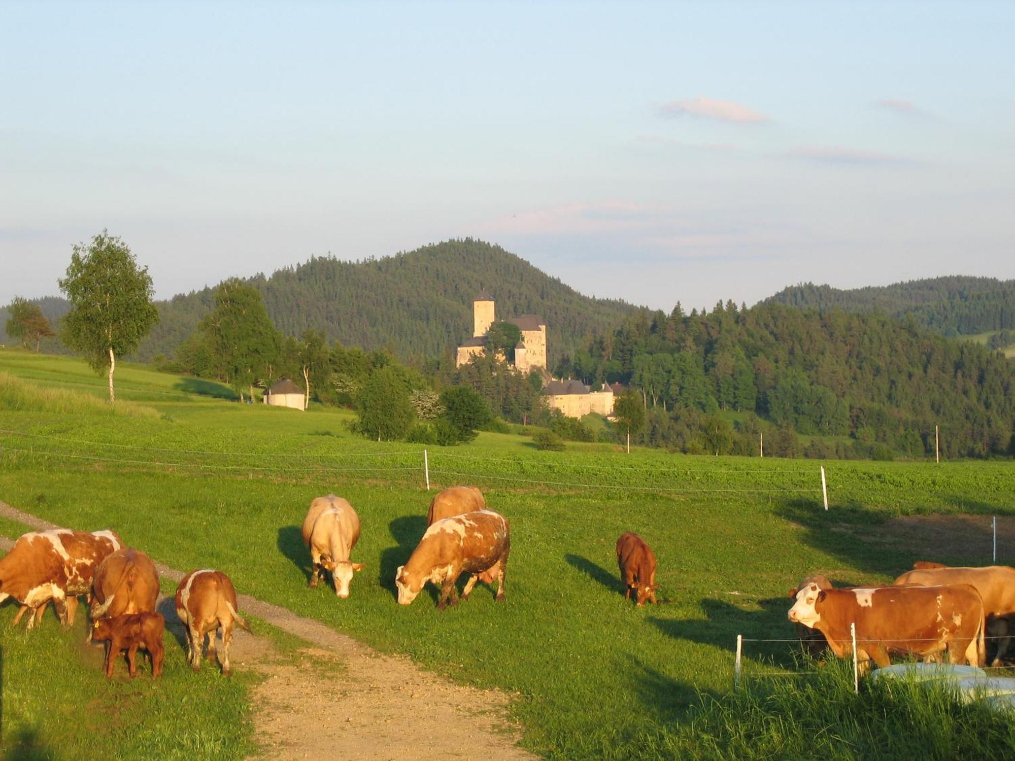 Ferienhof Stanzl Rappottenstein ภายนอก รูปภาพ