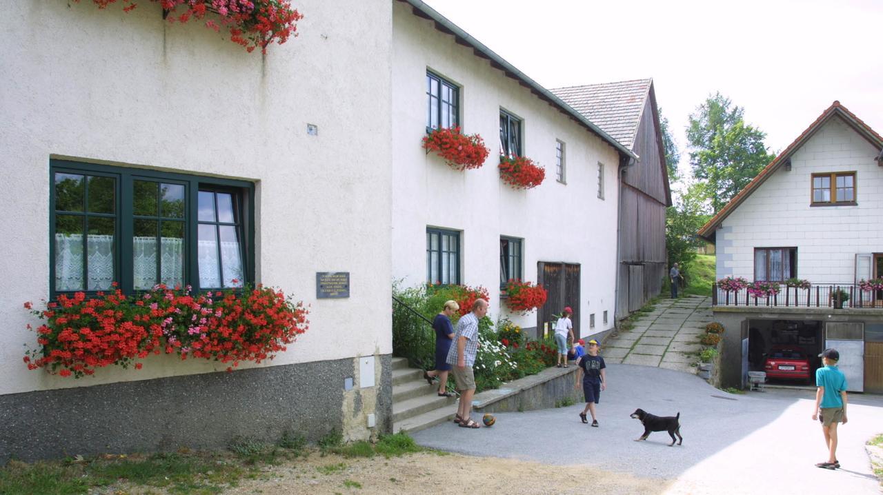 Ferienhof Stanzl Rappottenstein ภายนอก รูปภาพ