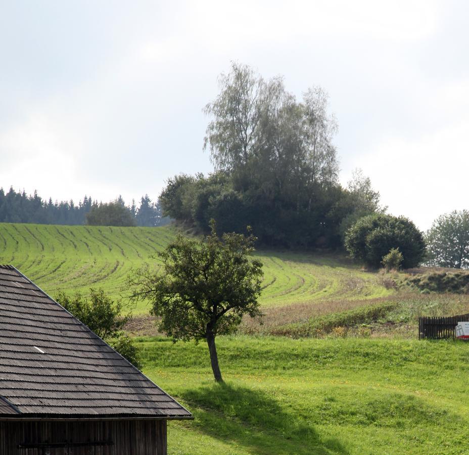 Ferienhof Stanzl Rappottenstein ภายนอก รูปภาพ