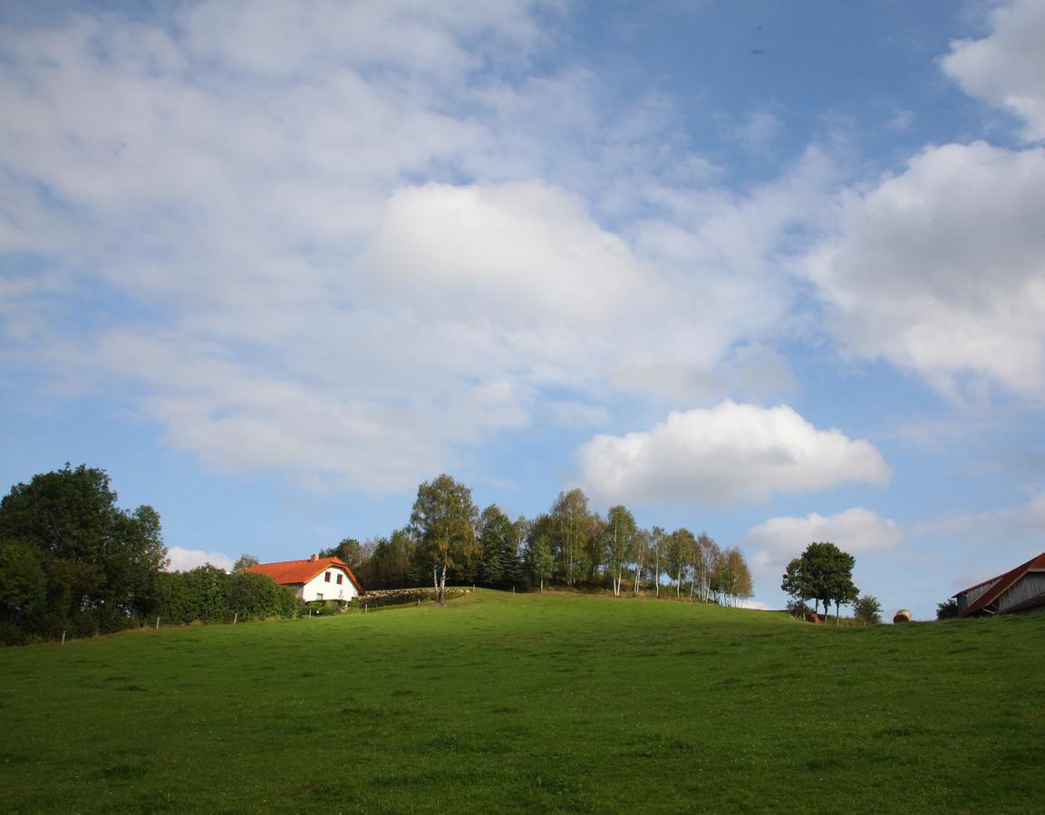 Ferienhof Stanzl Rappottenstein ภายนอก รูปภาพ