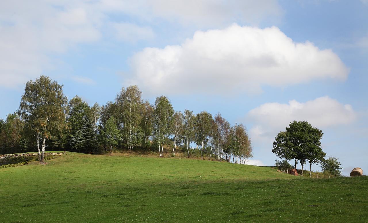 Ferienhof Stanzl Rappottenstein ภายนอก รูปภาพ